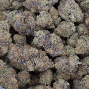 Coastal Pink (AAA+)