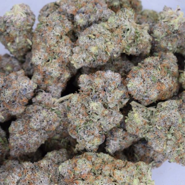 12 Week Pink Kush (AAAA)