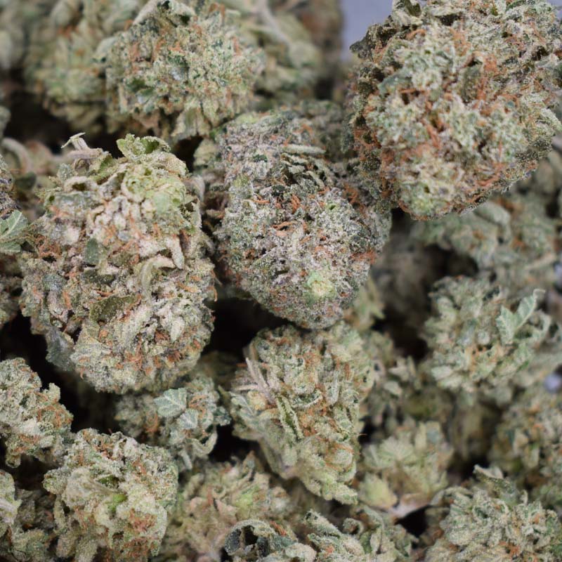 Black Truffle Strain Buy Weed Online Cannabudpost