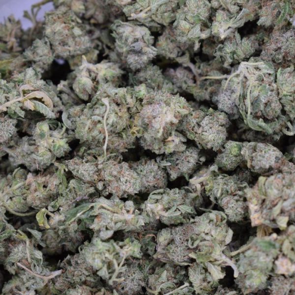 Black Truffle (Quad Smalls) Gas!