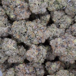 Doughboy Pink is made by Gary in the Garden by crossing Doughboy with Pink Kush.