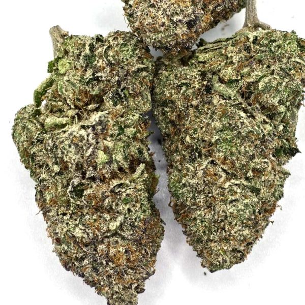 LSO Gas Daddy 2 LSO Gas Daddy (AAAA)