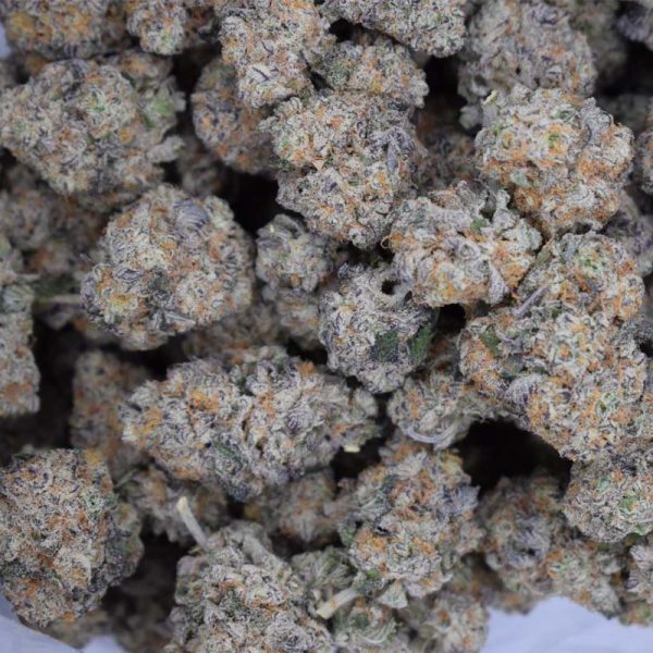 Blissful Wizard (AAAA) LSO