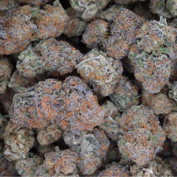 Apple Sherbet (AAA+)