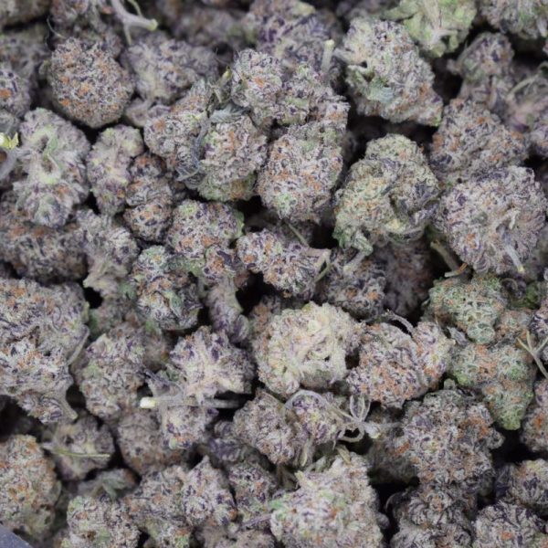 Apple Pie (Quad Smalls)