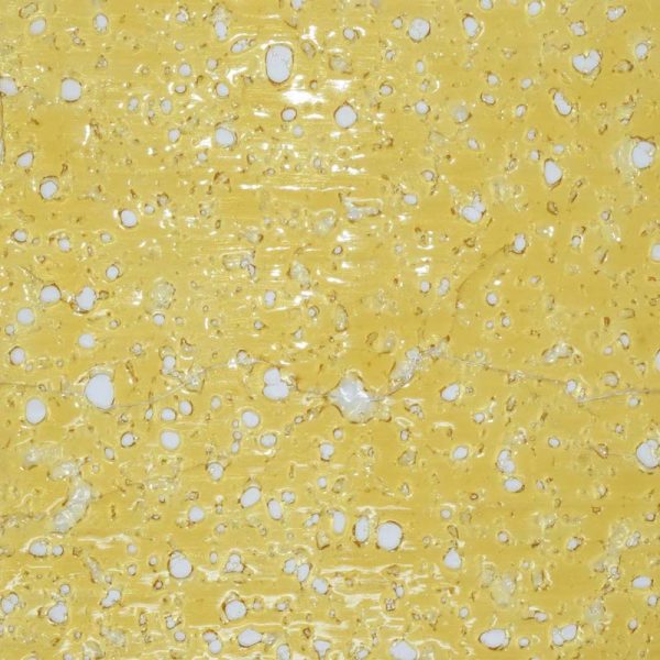 White Rhino Shatter