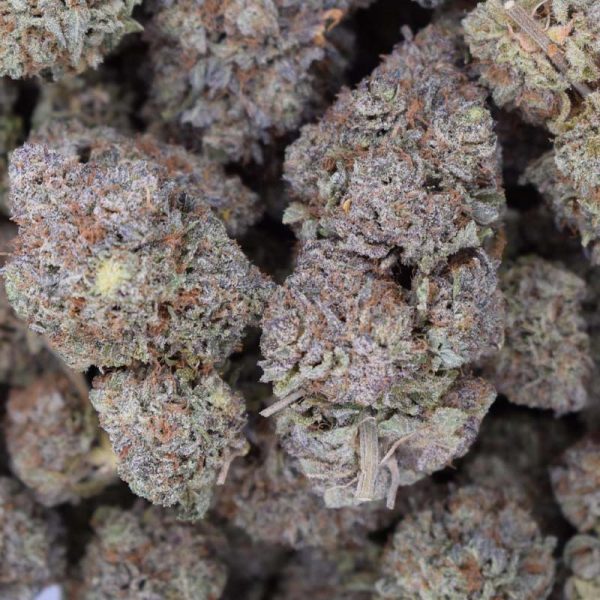 Grapefruit (AAA+)