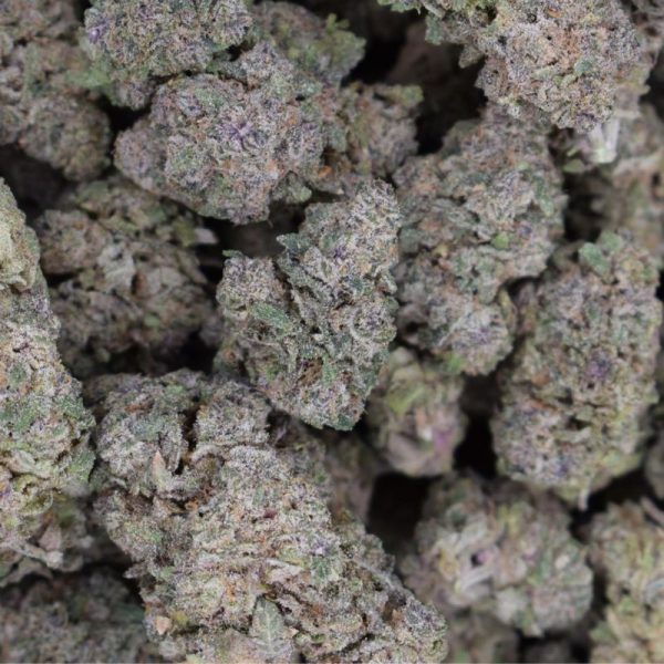 Tangerine Dream (AAA+)