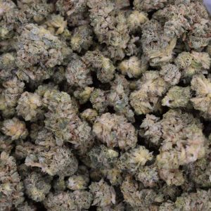 Kush Breath is a premium BC-grown cannabis strain known for earthy kush flavours, diesel notes, dense trichome-rich buds, and high THC content.