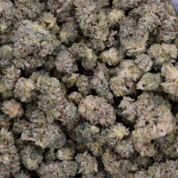 Kush Breath is a premium BC-grown cannabis strain known for earthy kush flavours, diesel notes, dense trichome-rich buds, and high THC content.