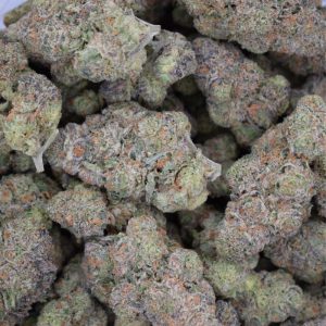 Orange Crush Pop (AAAA)