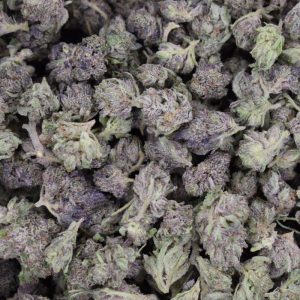 Pink God (AAA+) Popcorn