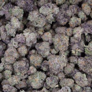 Apple Gelato (Quad Smalls)