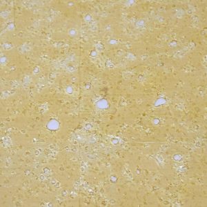 OG Kush Shatter